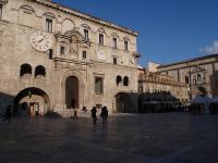 P3161643 palazzo dei Capitani.jpg
1560 x 1170 (373 KB)
